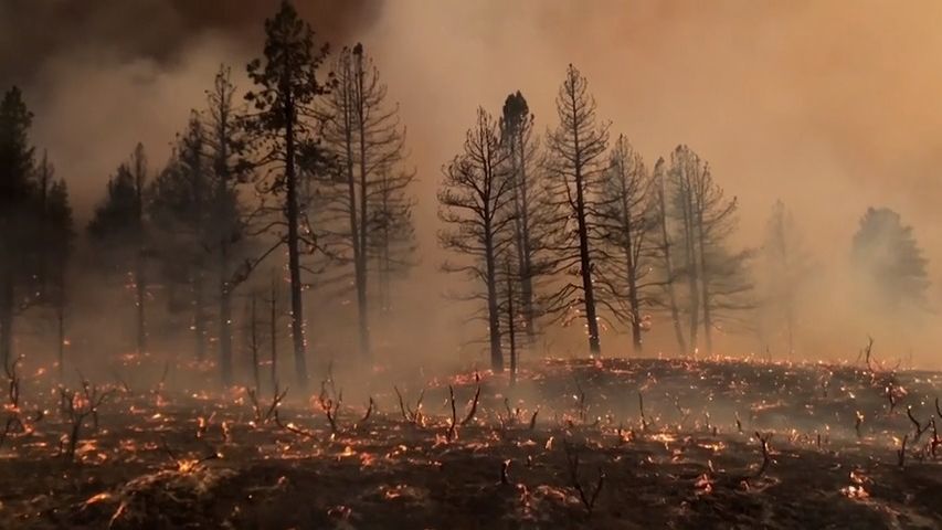 Západ USA a Kanady pustoší požáry a vedra. V Údolí smrti naměřili 54,5 °C